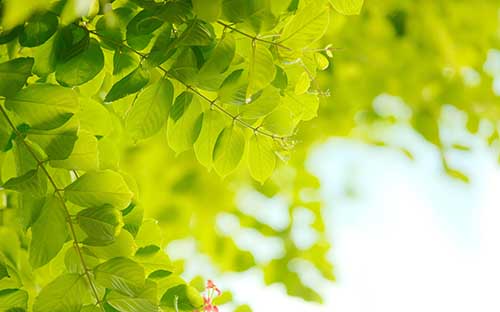 英國皇家藝術(shù)學(xué)院世界排名