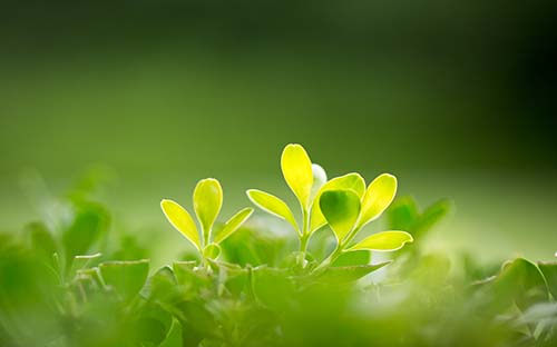 英國利茲大學(xué)留學(xué)流程